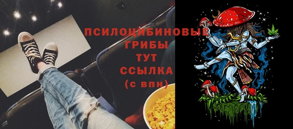 MDMA Premium VHQ Бородино
